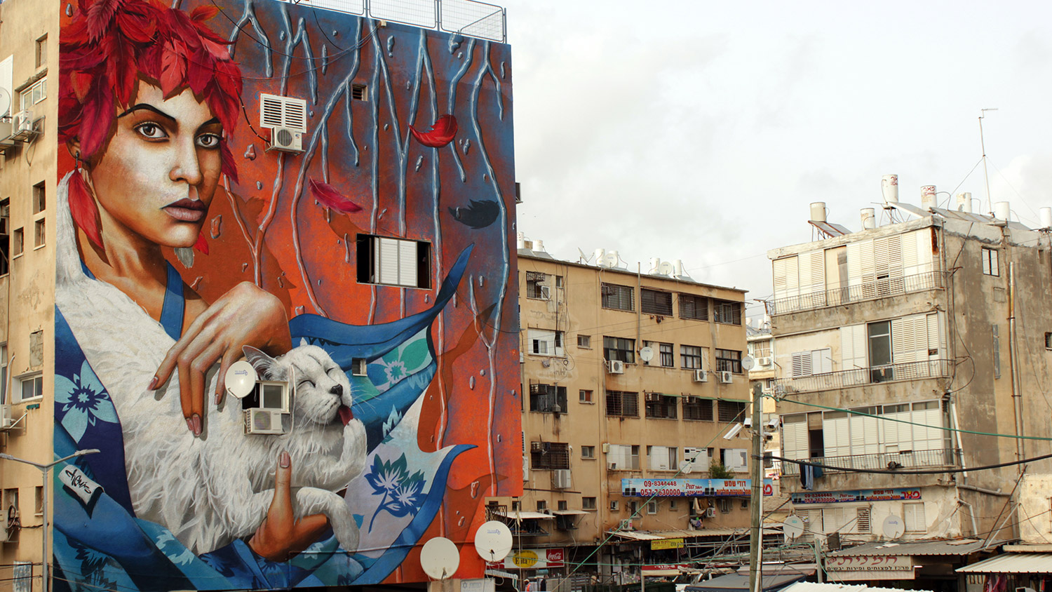 Netanya-Israel-cats-graffiti-chemis